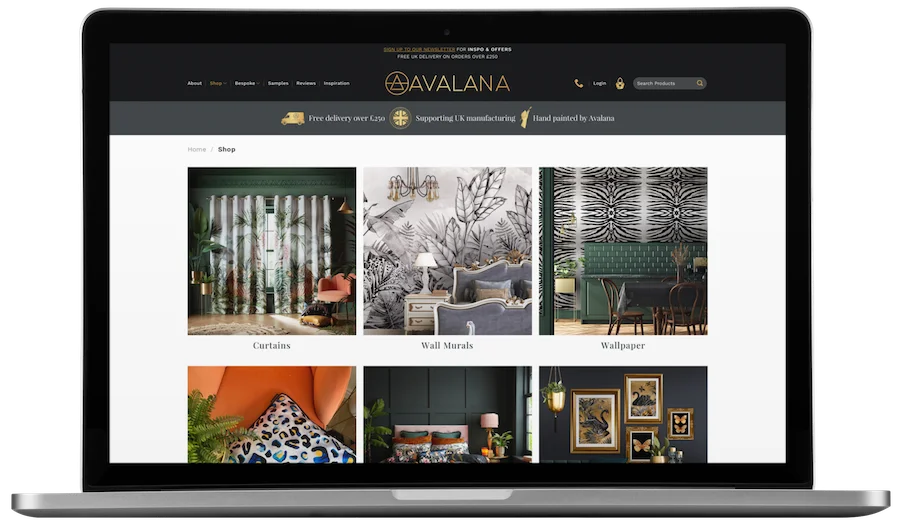 seo and web design case study